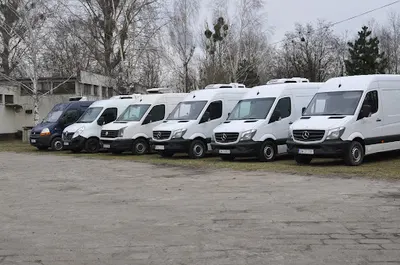 Transport Chłodniczy Tomasz Polański | Transport międzynarodowy | Transport spożywczy